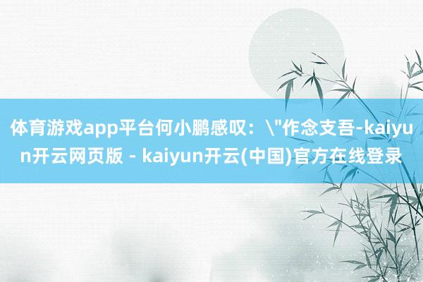 体育游戏app平台何小鹏感叹: