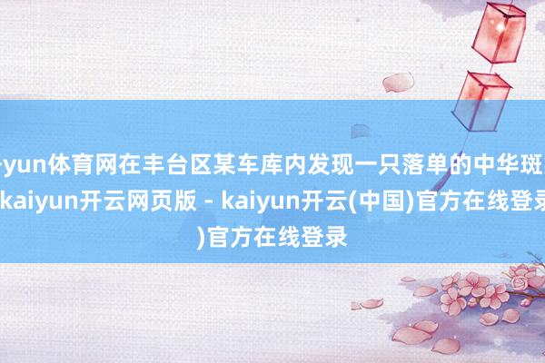 开yun体育网在丰台区某车库内发现一只落单的中华斑羚-kaiyun开云网页版 - kaiyun开云(中国)官方在线登录