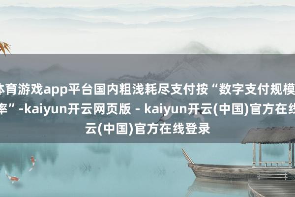 体育游戏app平台国内粗浅耗尽支付按“数字支付规模×浸透率”-kaiyun开云网页版 - kaiyun开云(中国)官方在线登录