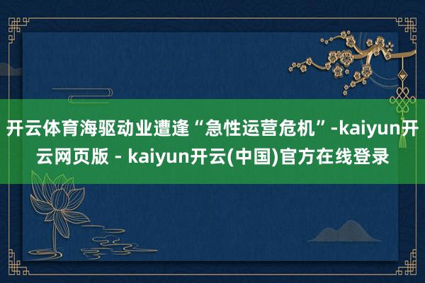 开云体育海驱动业遭逢“急性运营危机”-kaiyun开云网页版 - kaiyun开云(中国)官方在线登录
